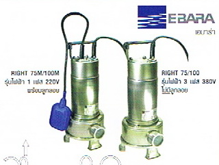 เครื่องสูบน้ำแบบจุ่ม เอบารา EBARA สำหรับบ่อน้ำเสีย ผลิตจากสแตนเลส AISI 304